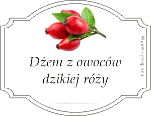 Zdjęcie owoców dzikiej róży z napisem Dżem z owoców dzikiej róży