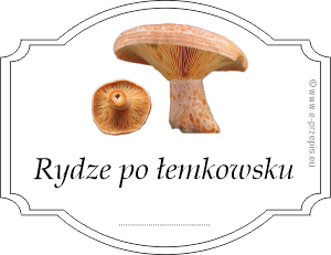 Zdjęcie grzybów rydzy z napisem Rydze po łemkowsku