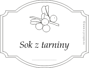 Gałązka z owocami tarniny rysunkowa z napisem Sok z tarniny
